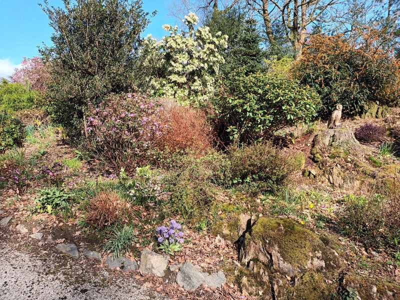 Leypits